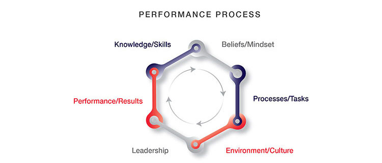 Performance management process